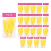 黃色 × 20個