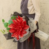 陽光紅 × 1個