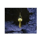 南山塔夜景(LB39) × 1個