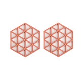 트라이앵글 코랄 × 2개