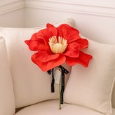陽光紅 × 1套