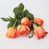 코랄 오렌지 × 1개