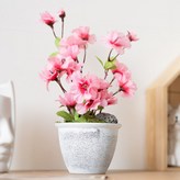 30진달래 × 1세트