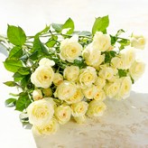 혼합색상 × 9개