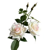 白底粉邊 × 2個