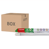 白色 4000K × 20支