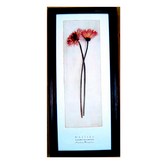 Daisies 雛菊 × 1個