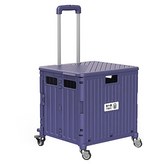 紫羅蘭色 × 1個