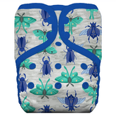 Arthropoda