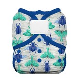 Arthropoda 灰色 + 藍色 + 綠色