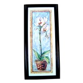 Orchid 蘭花 × 1個