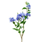 藍色 × 1件