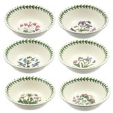 三色堇 + 雛菊 + 鱗腺杜鵑 + 沼澤勿忘草 + 仙客來花 + 石蠶葉婆婆納