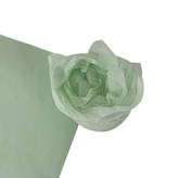 薄荷綠 × 1組