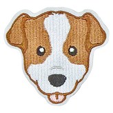 傑克羅素 × 1張