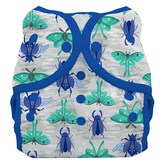 Arthropoda 灰色 + 深藍色