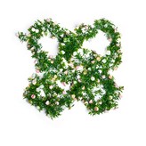 顏色隨機 × 1組