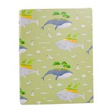 天空遨遊 綠色 × 1本