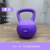 6公斤 紫色【可新竹物流】 × 1個