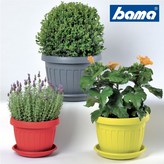 코랄레드 × 2개