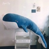 藍色,50cm-- 帶拉鍊 × 1個