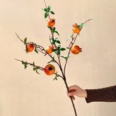 6果石榴橙色1支:1個 × 1個