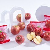 2.5kg (13~18과 내외) × 1개