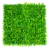 에버그린 × 1개