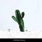 요정 기둥 55cm × 1개