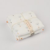 솜털 오렌지 × 2개