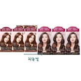 06 초콜렛브라운6C