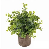 Ｂ尤加利圓柱 含盆栽 (W0300) × 1個