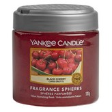양키캔들 스피어스 블랙체리