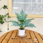 菊葉淡青色+小石子花盆 × 1個