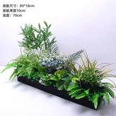 페르시안그래스 조합5 × 1개