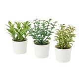 D款 草本植物11公分 三件組 × 1個