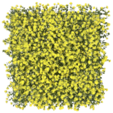 옐로우 블룸 × 1개