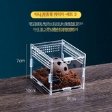 미니 파충류 조립 3 10x8x7cm × 1개