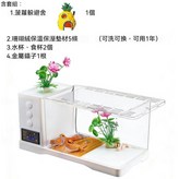 守宮專用款（亞克力缸體）（含飼養套組） × 1個