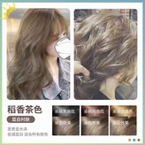 稻香茶色 免漂顯白,330ml × 1個