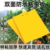 高品質：黃色粘蟲板【20*10cm）果園必備雙面誘粘：防水耐熱【共1張】無扎帶 × 1個