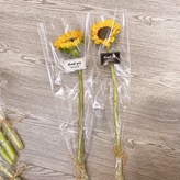 (包裝好)1支-圖片同款包裝+水管 × 1個