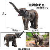 M-068亞洲象幼崽:795 × 1個
