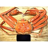 3kg 이상(2~3마리) × 1개