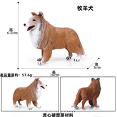 M-260小柯利牧羊犬0057KG:645 × 1個