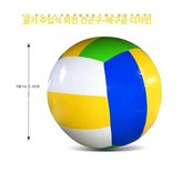 배구 1m 2-4인 × 1개