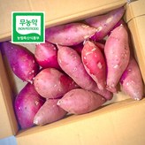 3kg 대 (300g이상) × 1개