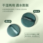 圓形粉撲 × 1個
