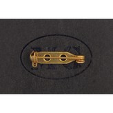 (無鉛銅胚)50入/瓶 × 1個