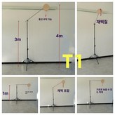 T11 × 1개
